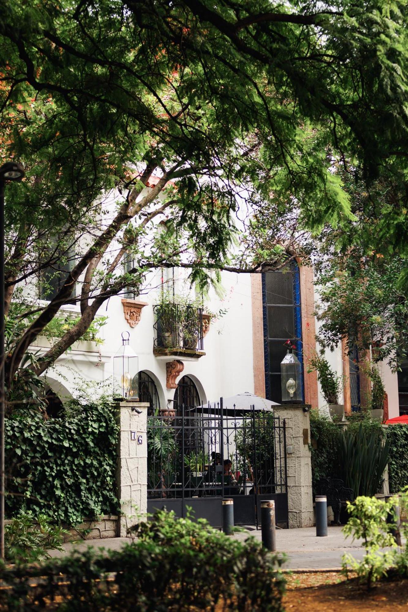 Hotel Orchid House Polanco Città del Messico Esterno foto